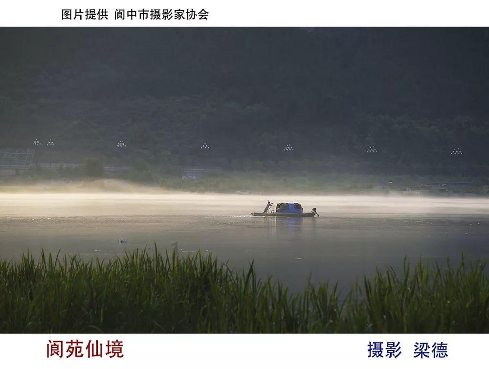 养猫后的生活有哪些改变?-XXX红迪网,畅所欲言,快来加入吧!